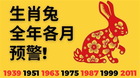 2024屬兔每月運勢|2024年属兔人的全年运势 属兔人2024年每月运势及运程详解